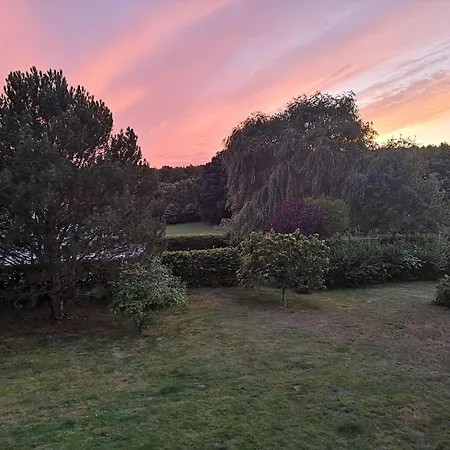 Ferienwohnung-im-gruenen-zwischen-binz-und-sellin Apartment